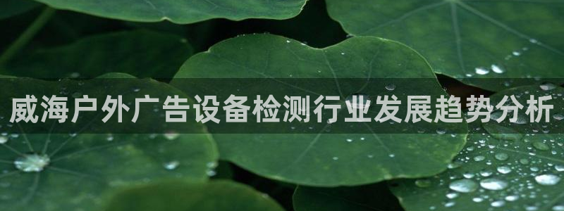 杏宇官方平台官网入口：威海户外广告设备检测行业发展趋势分析