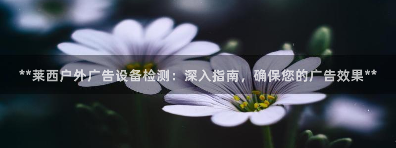 杏宇平台注册地址在哪里：**莱西户外广告设备检测：深入指南，确保您的广告效果**