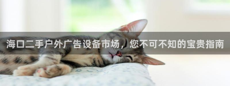 杏宇平台登录步骤：海口二手户外广告设备市场，您不可不知的宝贵指南