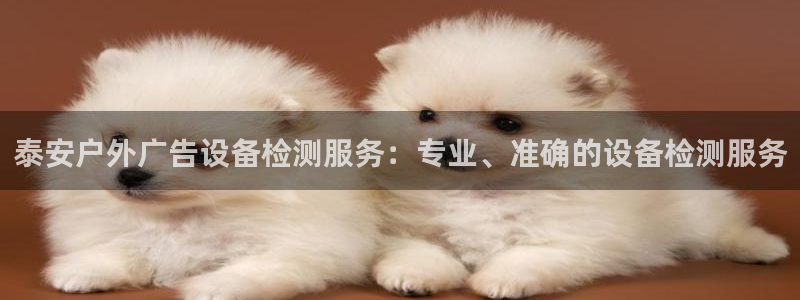 杏宇平台总代理：泰安户外广告设备检测服务：专业、准确的设备检测服务