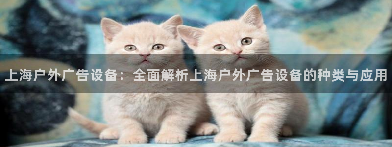 杏宇平台代理怎么赚钱：上海户外广告设备：全面解析上海户外广告设备的种类与应用