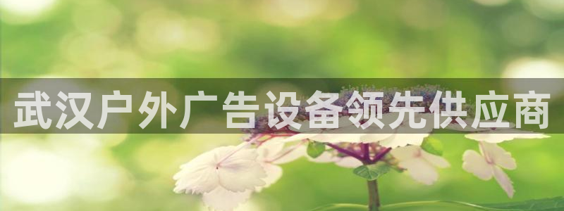 杏宇平台招商：武汉户外广告设备领先供应商