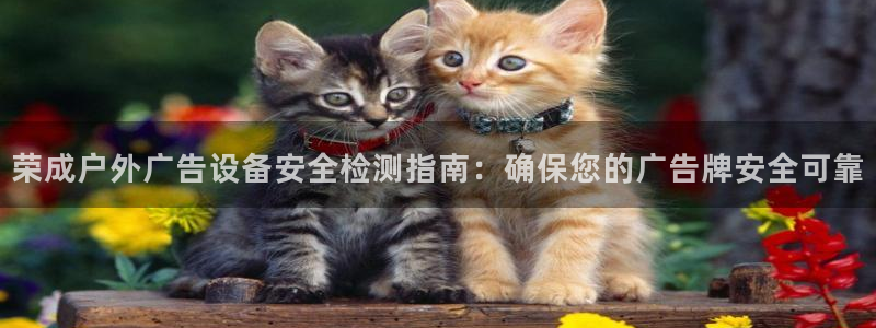 杏宇平台怎么样赚钱：荣成户外广告设备安全检测指南：确保您的广告牌安全可靠