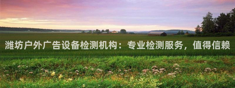 杏宇平台是什么：潍坊户外广告设备检测机构：专业检测服务，值得信赖