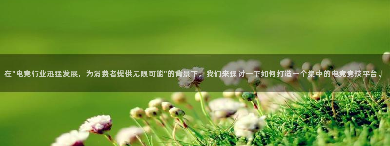 火狐电竞官方网站